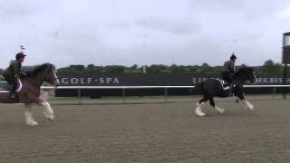 Lingfield Racecourse  Shires vs Clydesdales preview  Horse amp Hound [upl. by Adieren]