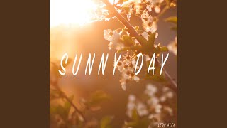 Sunny Day Instrumental Guitar [upl. by Pru]