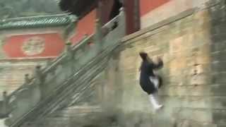 Wudang Qing Gong  Lightness Skills 武当轻功 [upl. by Dana]