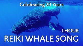 1 Hour Whale Music for Relaxation and Meditation  Reiki Whale Song [upl. by Ryley]