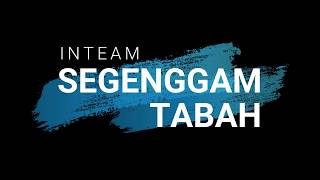 INTEAM Segenggam Tabah  Lirik Unofficial [upl. by Kingston]