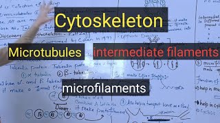 Cytoskeletonmicrotubulesmicrofilamentsintermediate filamentspashto detail lectures [upl. by Karney292]