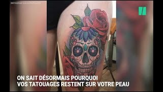 Pourquoi vos tatouages ne disparaissent pas [upl. by Nos26]