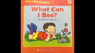 WHAT CAN I SEE  BOOKS READ ALOUD FOR KIDS  Scholastic First Little Readers Level A [upl. by Lleinad]