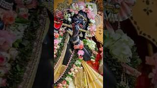 Natnagar Mohan Girdhari ft Shree Krishna [upl. by Aztinay809]