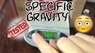 Find Fake Silver Now Specific Gravity Test SHOCKING Findings FakeSilver Coins Silver Scam Ag [upl. by Sikko525]