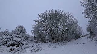 Walking in a Welsh WINTER Wonderland [upl. by Eirrehs322]