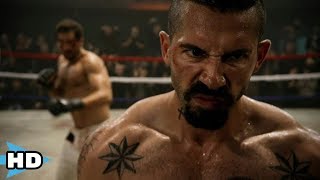 Amazing Fight scenes in Movies Top 5 [upl. by Wende]