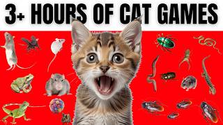 Cat Games Compilation 3 HOURS  25 Games for Your Cat to Play with Sound [upl. by Burack]