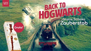 Back to Hogwarts Gratis Schokolade zum Schulstart [upl. by Cacilie]