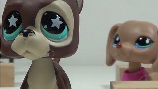 Littlest Pet Shop Her Story Episode 1 Pilot  SERIES PREMIERE [upl. by Esinaej]