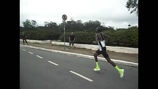 Maratona Internacional de São Paulo 2024 Percurso de 21 km  Meia Maratona [upl. by Gilpin202]