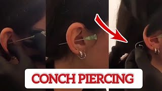 How to do a CONCH PIERCING piercing dont do it at home [upl. by Sixel]