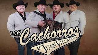 Los Cachorros de Juan Villarreal  Corridos de Oro EPICENTER ⚠️LOUD BASS🔊 [upl. by Gilford564]