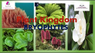 quotBRYOPHYTESquot Class 11 Biology PLANT KINGDOM [upl. by Dacie413]