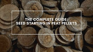 Complete Guide to Seed Starting In Peat Pellets [upl. by Marler]