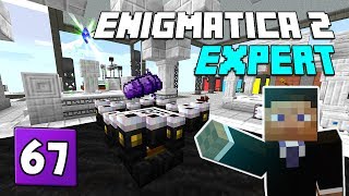 Enigmatica 2 Expert Mode  EP 67 Draconium Seeds [upl. by Regen]