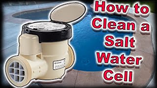 How To EASILY Clean A Salt Cell Chlorinator  Salt Water Generator Service [upl. by Aihsyn]