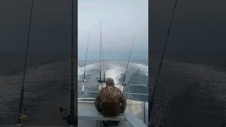 Headed 40 miles out to sea fishing ocean burbot bass fish nature deepsea haddock saltwater [upl. by Ocire]