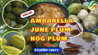 About Ambarella  Hog plum  June plum  How to cook healthy ambarella curry at home [upl. by Dhu]