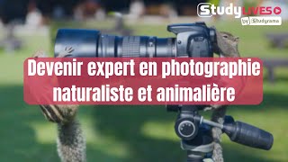 Devenir expert en photographie naturaliste et animalière [upl. by Ahcas298]