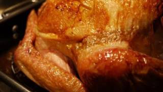 How to Cook a Turkey [upl. by Kerr]