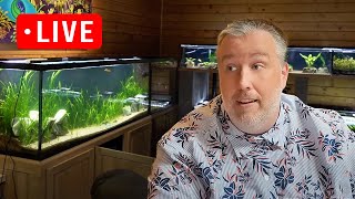 3 New Products at Aquarium CoOp Shopping Channel Live Stream [upl. by Lemal993]