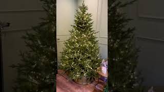 Best Artificial Christmas Tree 2024  Rosemere Balsam Tree Review amp Setup by The Garden House [upl. by Eelyrehc]