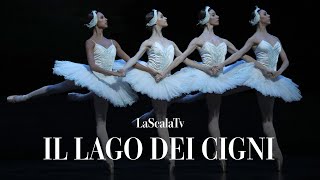 Il lago dei cigni  Danza dei piccoli cigni Teatro alla Scala [upl. by Ridgley]