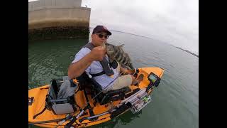 Coronado San Diego Bay Kayak Fishing  I Actually Talk [upl. by Ahtael298]