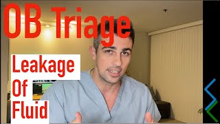 OB Triage Leakage of Fluid [upl. by Esemaj889]