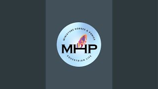 MHP Equestrian Videos is live [upl. by Pember]