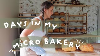 Days In My Micro Bakery  farmers market prep  baking [upl. by Aracal]