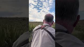 CloseUp Aoudad Hunting POV Barbary Sheep shorts [upl. by Chesney961]