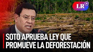 ALEJANDRO SOTO APRUEBA ley que permite la DEFORESTACIÓN ILEGAL en la AMAZONÍA [upl. by Bacon59]