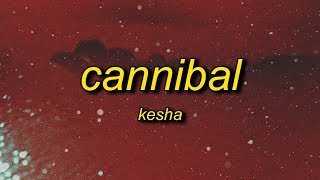 Kesha  Cannibal Lyrics  whenever you tell me im pretty [upl. by Ykroc]