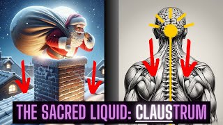 CLAUStrum The Sacred Brain Part 100 Cell Regenerator [upl. by Siraf]