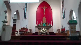 St Teresas Live Mass 4th August 2024 [upl. by Morse]