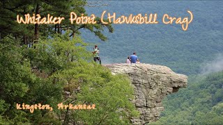 Hiking Hawksbill Crag  Whitaker Point Trail  Kingston Arkansas [upl. by Gabbi]