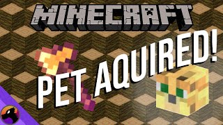 Quest to get an Ocelot Pet III  Hypixel Skyblock [upl. by Acassej]