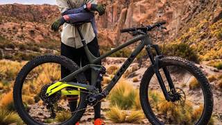 2019 Trek Full Stache 29 Full Suspension Trail Bike [upl. by Solorac529]