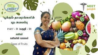 Morphology of Flowering plants  Part 9  Fruits  Types of Fruits  NEET Biology  NEET Tamil [upl. by Nations143]