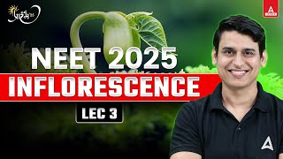 INFLORESCENCE  MORPHOLOGY OF FLOWERING PLANTS  CLASS 11  NEET 2025 PREPARATION  NEET BIOLOGY [upl. by Secunda]