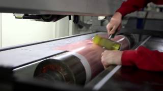 Esko Flexo plate making An introduction [upl. by Araed95]