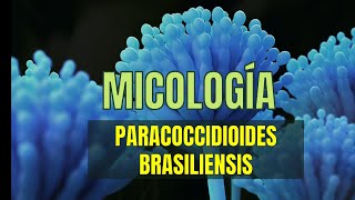 PARACOCCIDIOIDES Brasiliensis  Micología tema 8  MicroBacter [upl. by Gilcrest349]