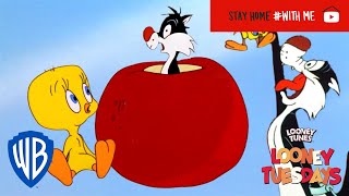 Looney Tuesdays  Iconic Duo Tweety and Sylvester  Looney Tunes  WB Kids [upl. by Lleraj]