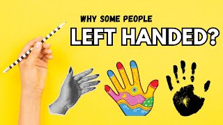 Why Are Some People Left Handed  Explained Simply [upl. by Lozar924]