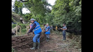 Mill River Conservation Group and Inishowen Rivers Trust building a river revetment [upl. by Mayyahk]