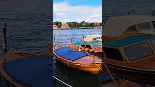 norway fredrikstad gamlebyen glomma river summer nature vacation foryou follow [upl. by Nilrev787]