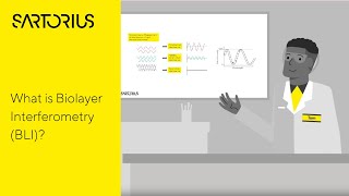 Biolayer Interferometry BLI  The Biophysics behind the BLI Technology Explained [upl. by Kristos]